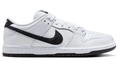 Nike SB Dunk Skate Shoes